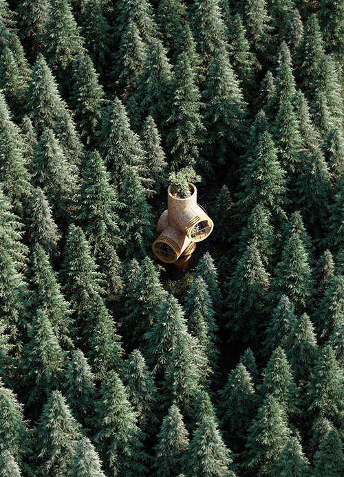 1562571538562022258.jpg 20190629-bert-4_副本.jpg