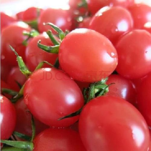 1563342587046087292.jpg u=2562681253,3894308870&fm=26&gp=0.jpg