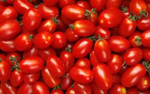 1563342629859004714.jpg u=1961653483,461696876&fm=26&gp=0.jpg