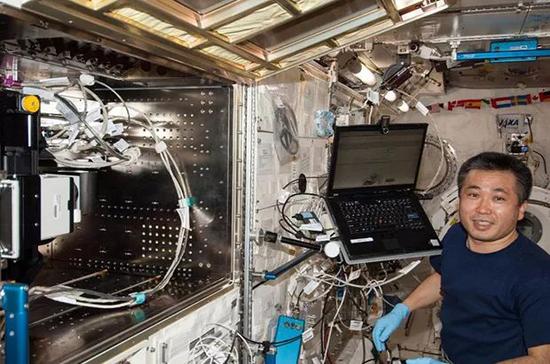 Flight Engineer Koichi Wakata works to activate the Multi-Purpose Small Payload Rack （MSPR） Hub unit and install the Medaka Chamber in the fluorescent microscope for observation of a Medaka sample。&nbsp;&nbsp;飞行工程师Koichi Wakata将Medaka室安装在荧光显微镜中观察Medaka样品。&nbsp;（图片来源： NASA）