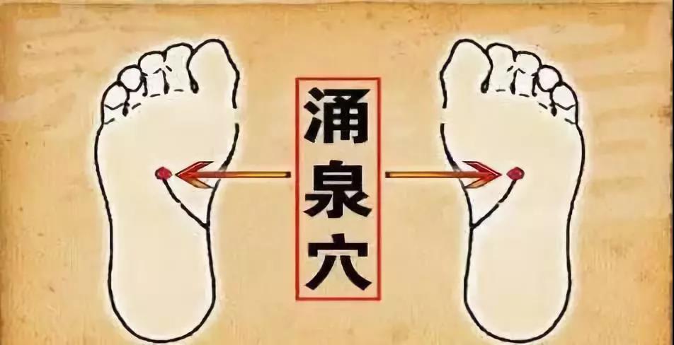 1579231739072069716.jpg 微信图片_20200117112809.jpg