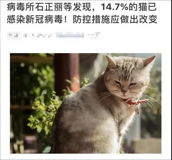 1586487124159071012.jpg 微信图片_20200410105117.jpg