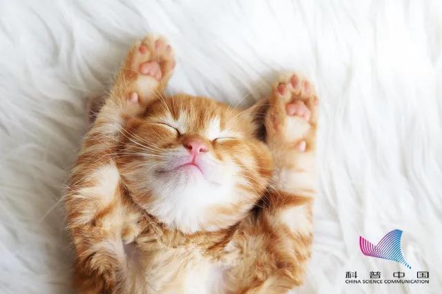 1586487183706020557.jpg 微信图片_20200410105138.jpg