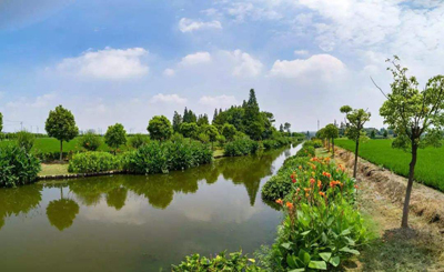 1595916955531036320.jpg timg.jpg