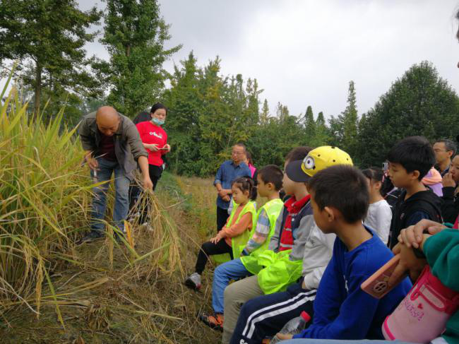 1602664373125099971.png 1231321321.png