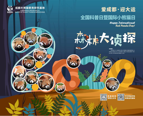 1602668895844071284.png 132213321.png