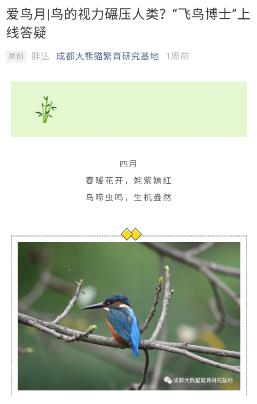 1602732381344053510.png 321321.png