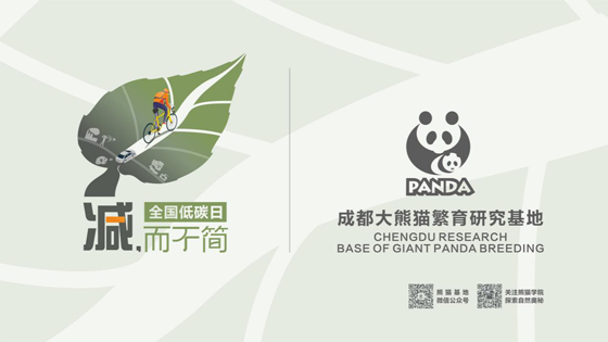 1602732636625095464.png 21312123.png