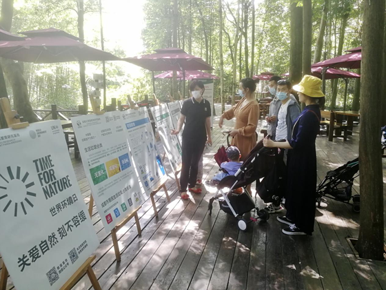 1602733159594011417.png 231231.png