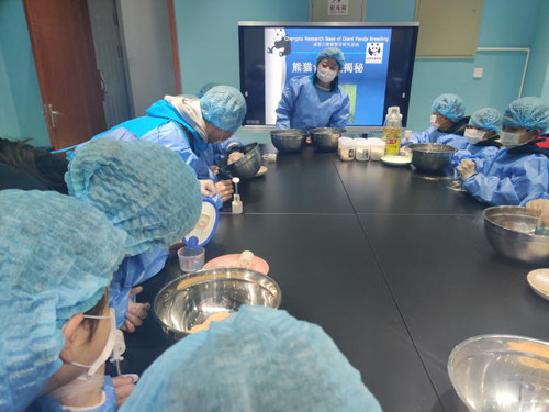 1602734526125070629.png 980549800.png