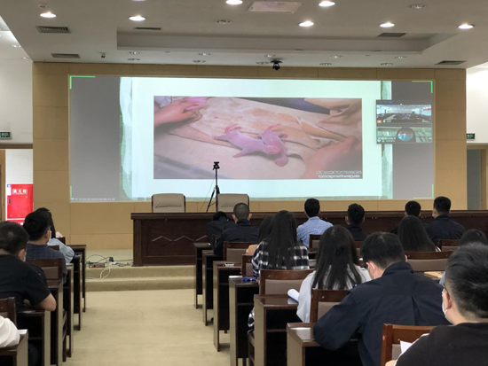 1602734682906071949.png 455456.png