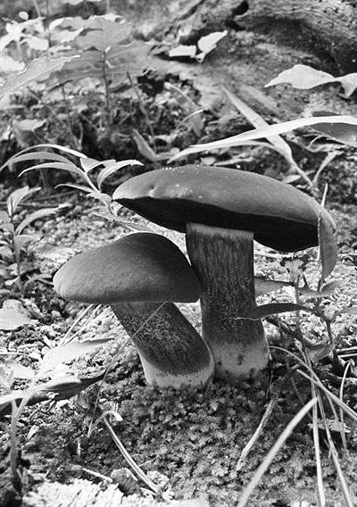 1605493911078044613.jpg 849491_lix_1605079064637_b.jpg