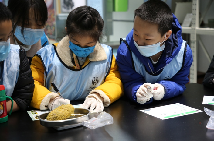 1609058473860016234.png 2.png