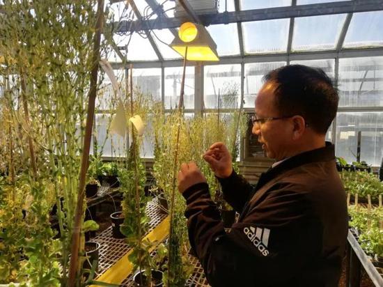 1610072294391075445.jpg 3a55-kfnaptu8990261.jpg