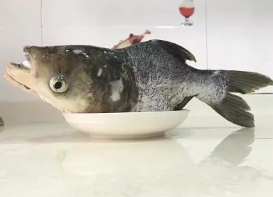 1614908034041005902.png QQ截图20210305093332.png