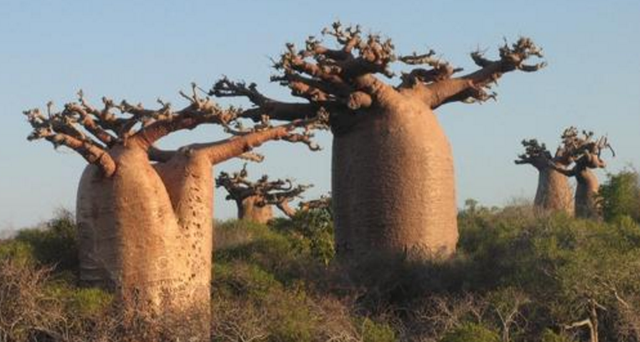 1615342940975090325.png c75c10385343fbf2dd617dbca5ec3b8664388f7d.png