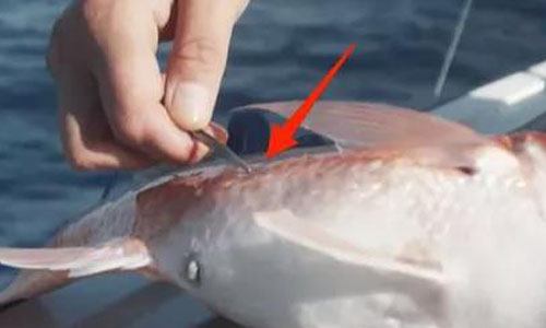 1631523075560028764.jpg 微信图片_20210913164929.jpg