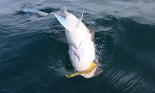 1631523146247088269.jpg 微信图片_20210913164935.jpg