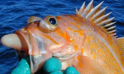 1631523196481019743.jpg 微信图片_20210913164942.jpg