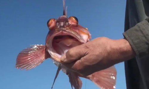 1631523236980081729.jpg 微信图片_20210913164952.jpg