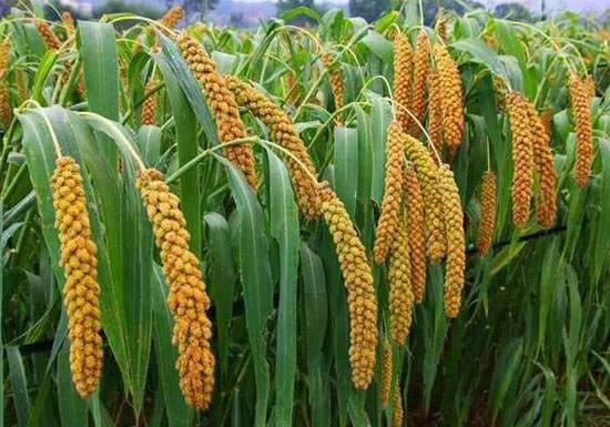 1632476544500035983.jpg 03.jpg