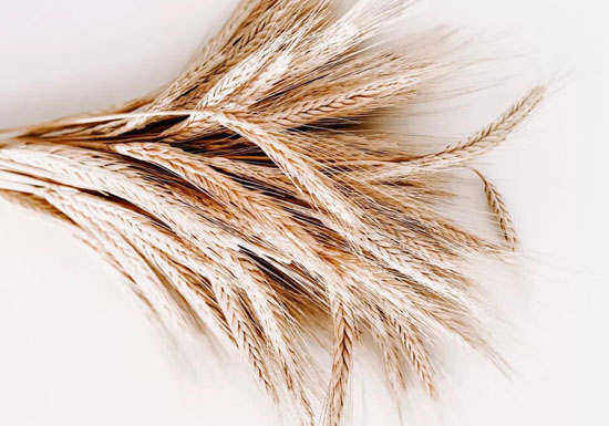 1632476747423024460.jpg 04.jpg