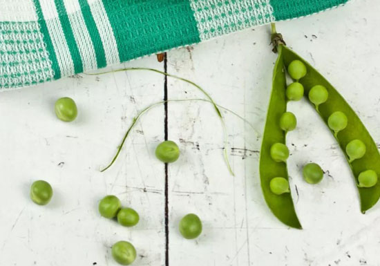 1632476867736042081.jpg 05.jpg