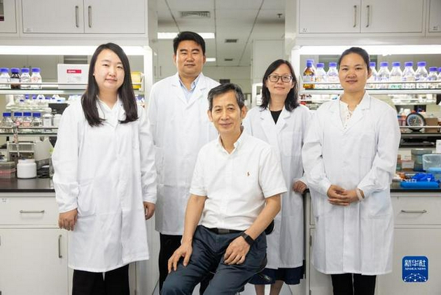 科研团队乔婧科研助理、蔡韬副研究员、马延和研究员、朱蕾蕾研究员、孙红兵科研助理（从左至右）在中国科学院天津工业生物技术研究所实验室合影（9月16日摄）。新华社记者 金立旺 摄