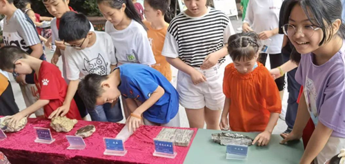 1634781226706073696.png 图片2.png