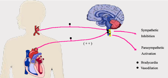 1635930432898009641.png image.png