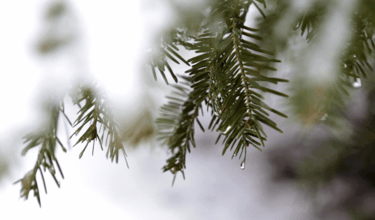 1641531253754066587.png image.png