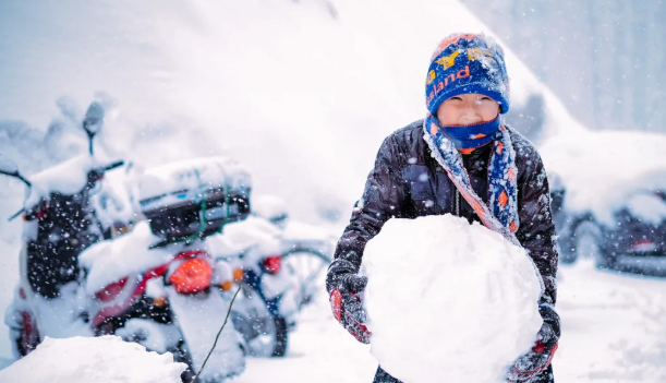 1641531275770042541.png image.png