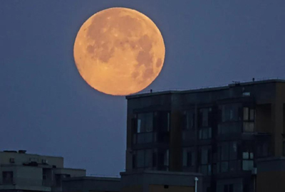 1644915825066088448.jpg 03.jpg