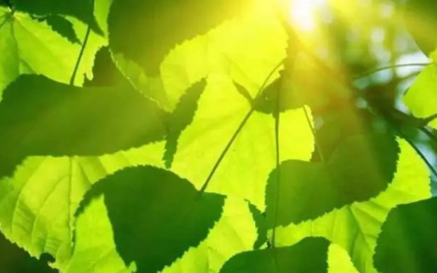 1646894516566018425.png image.png