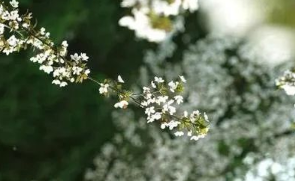 1646894563675042804.png image.png