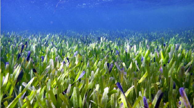 1667265845634026236.png b668-7b7bc694dfb630996b1f30e426687d84.png