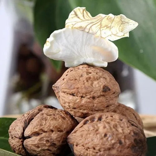 1693813521485011566.jpg u=277217821,2373530803&fm=253&fmt=auto&app=138&f=JPEG.webp.jpg