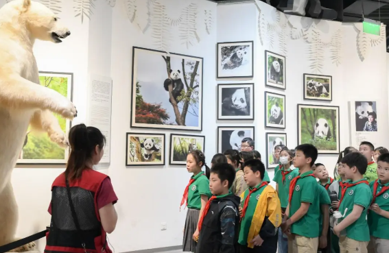 1713838131187094127.png 1713838131187094127.png