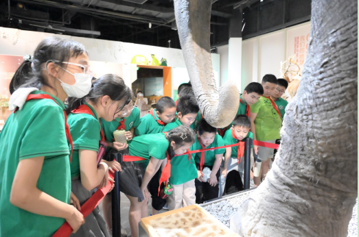 1713838180341042686.png 1713838180341042686.png