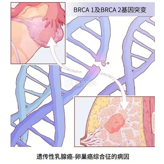 1719884704831081546.png 微信截图_20240702094500.png