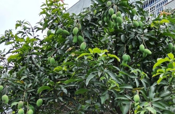 1719969389498052481.png 微信截图_20240703091546.png