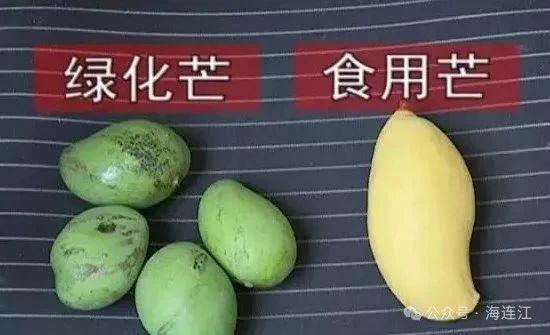 1719969396607049171.jpg 1719820880537.jpg