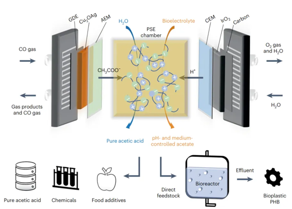 1725333551414089328.png 1725235756739.png