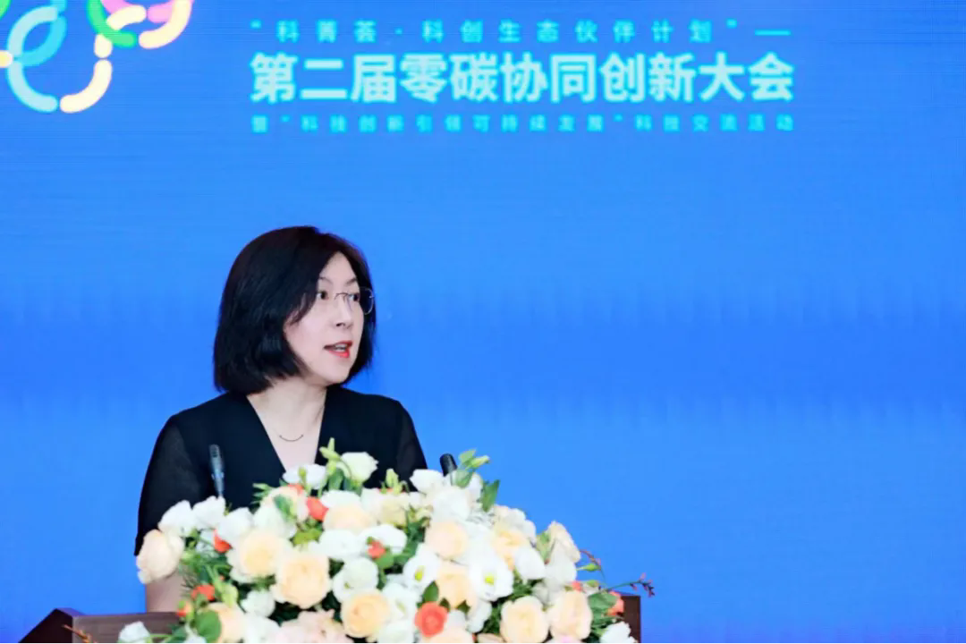 1725953984147040983.png 1725953984147040983.png