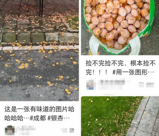 1729128193516020375.jpg 微信截图_20241017092230.jpg