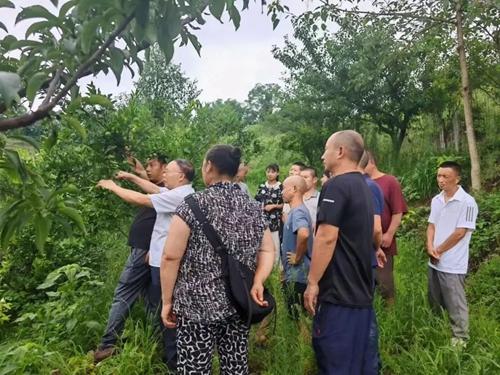 1755652682128018671.jpg 0c82b95e7e774ca1a13c818e336eeaf1.jpg