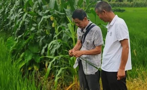 1755652692181052119.jpg 9a08a4512da247a5a132033cd0587954.jpg