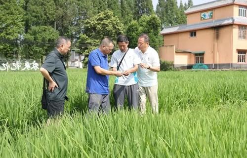 1755652702984033756.jpg fce2adad3a8845b79ec6b00df91bbeef.jpg