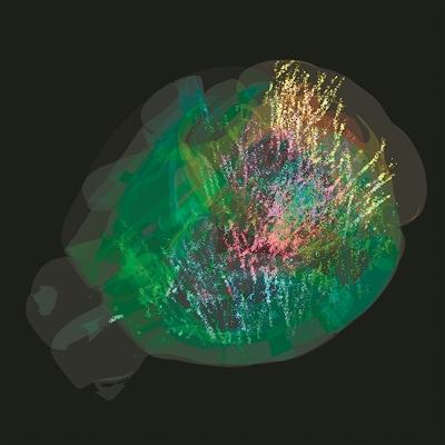 1757381191855077834.jpg af9dfa841c6e4c819c1dc9cb0cae6039.jpg