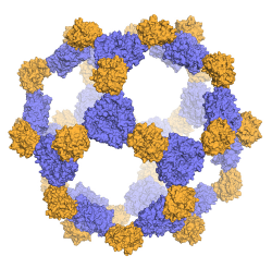7IDV-fycnyhm2893987.png